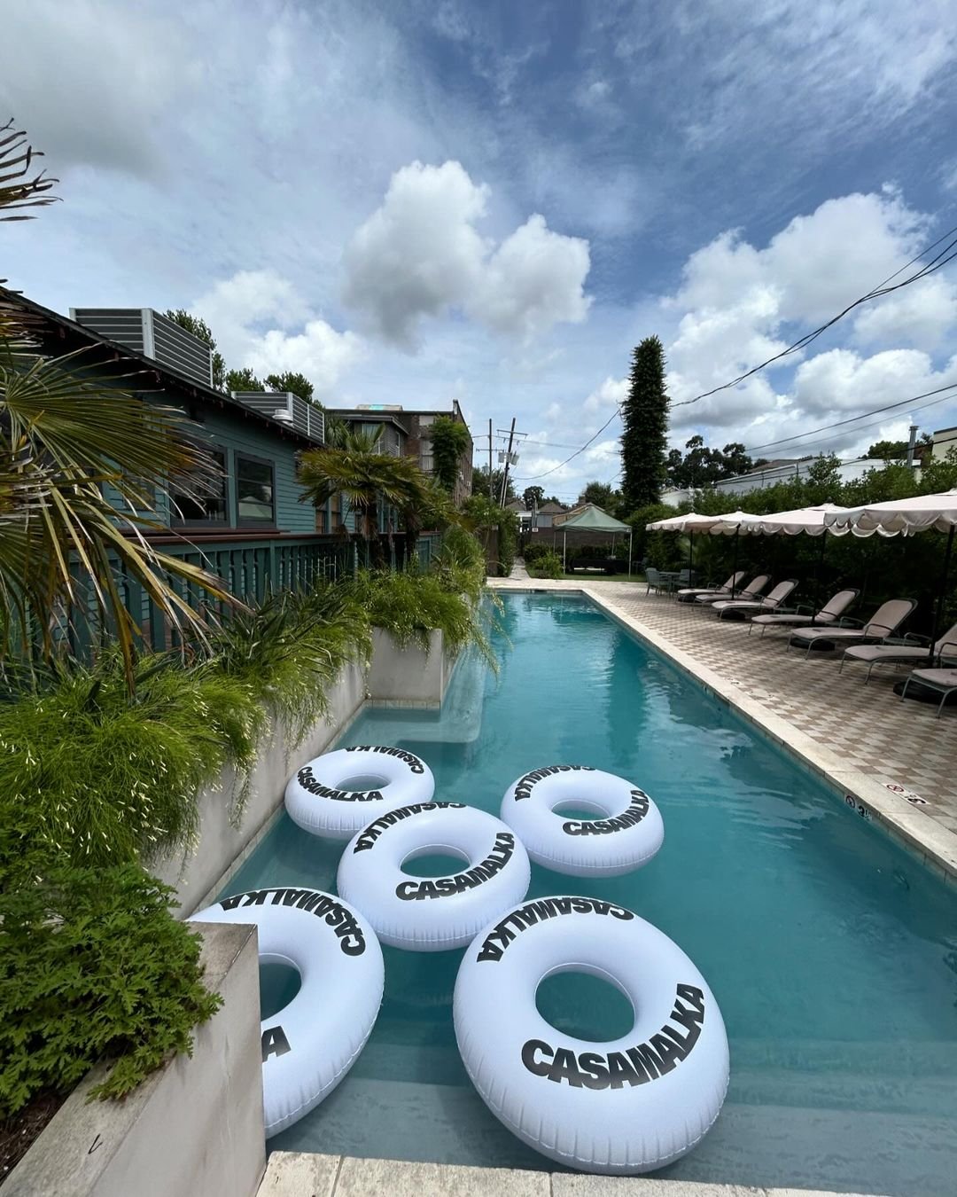 Follow @casamalkatequila on Instagram