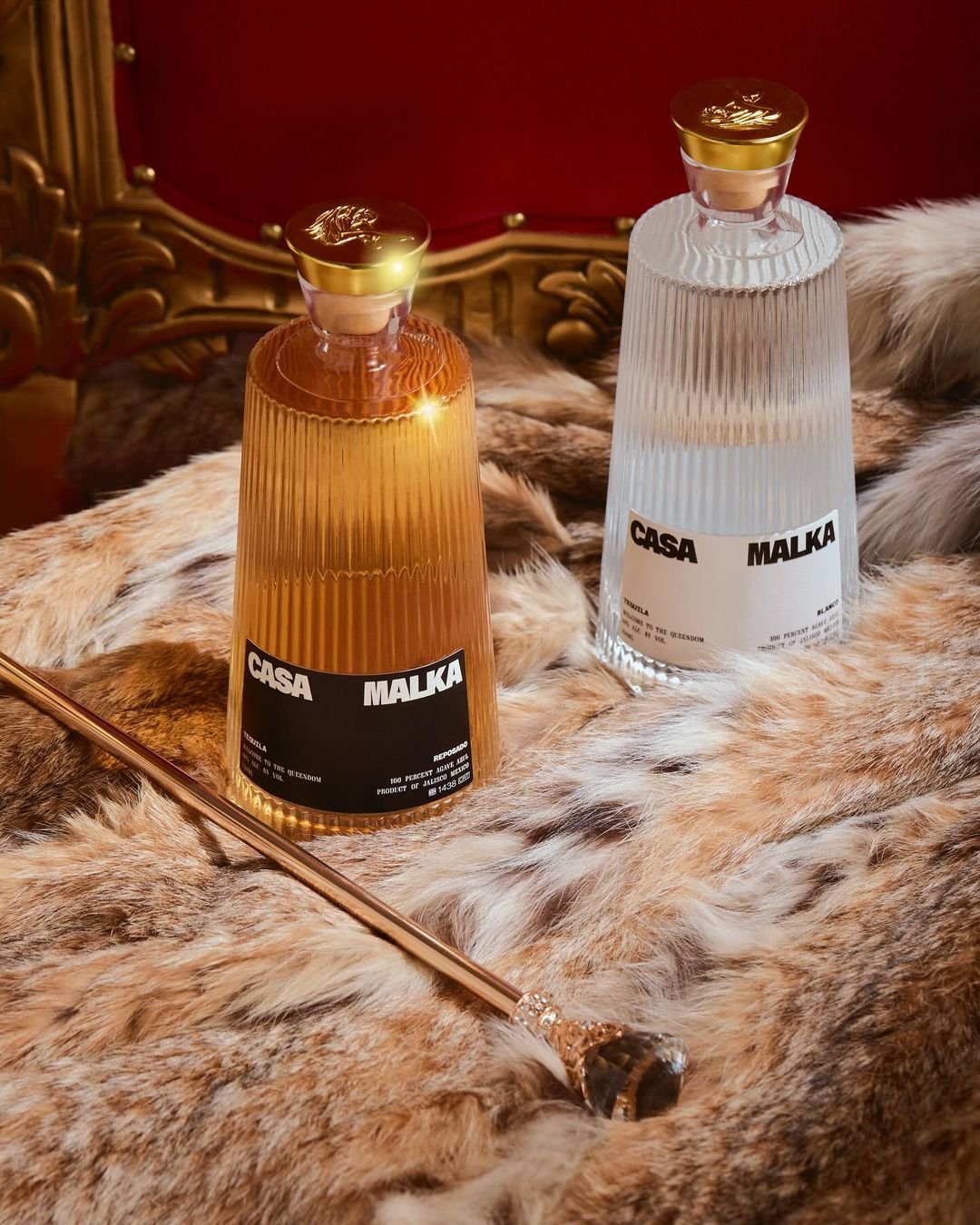 Follow @casamalkatequila on Instagram